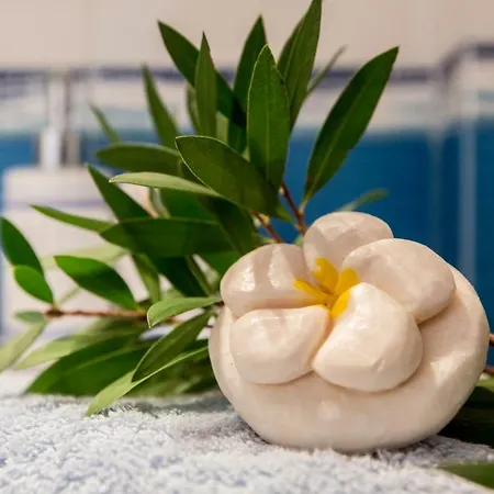 Calliope Corfu Apartment *